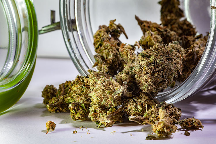 medical cannabis in a jar